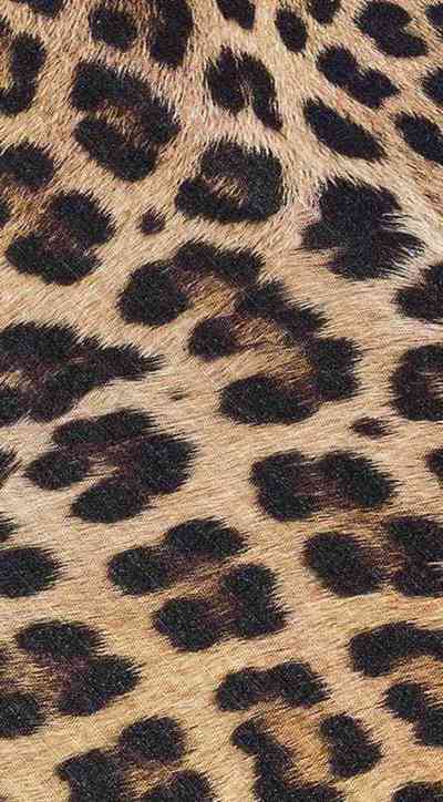 ALFOMBRA DE COCINA LEOPARDO