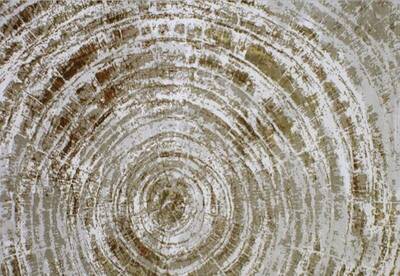 ALFOMBRA EFECTO MADERA 14 CALDERA